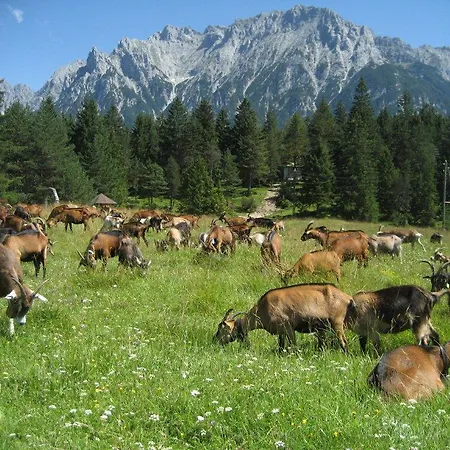Haus Rustikana Apartment Mittenwald