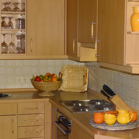 Haus Rustikana Apartment *
