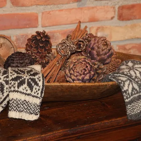 Haus Rustikana 아파트 *