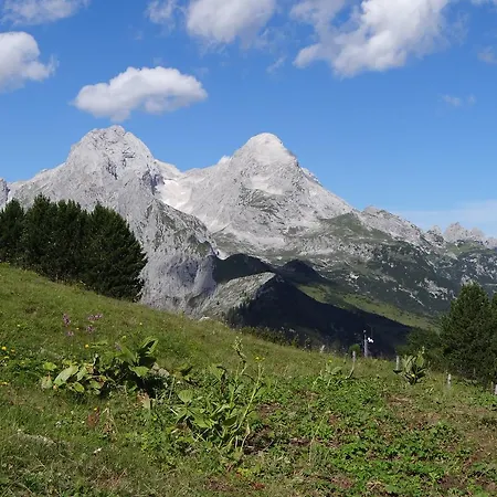 아파트 Haus Rustikana 미텐발트