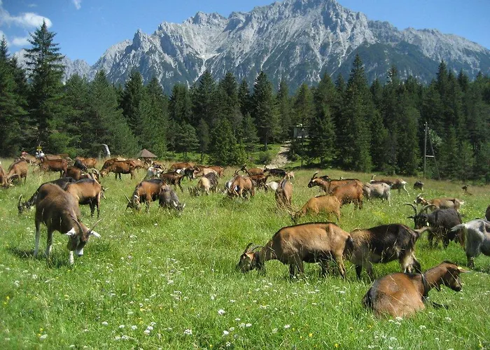 Haus Rustikana Appartement Mittenwald